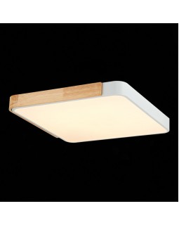 Накладной светильник Evoluce SLE201252-01-foto6