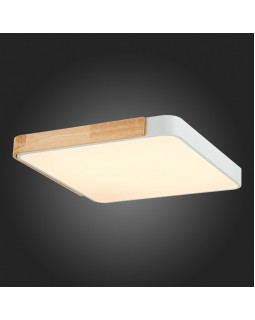 Накладной светильник Evoluce SLE201252-01-foto10