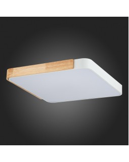 Накладной светильник Evoluce SLE201252-01-foto12