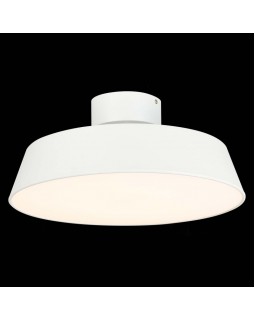 Накладной светильник Evoluce SLE600252-01-foto4