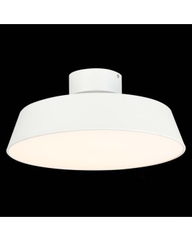 Накладной светильник Evoluce SLE600252-01-foto4