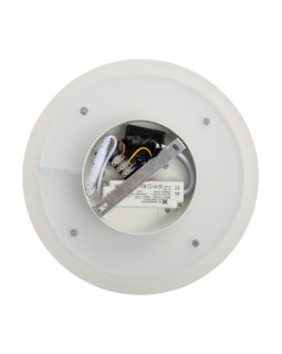 Бра Freya FR6002WL-L20W-foto11