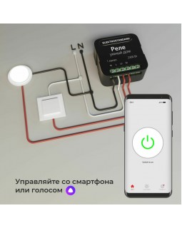 Wi-Fi реле Elektrostandard 76006/00 реле Умный дом черный-foto7