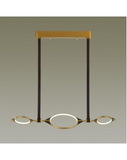 Подвесная люстра Odeon Light 4995/40L-foto2