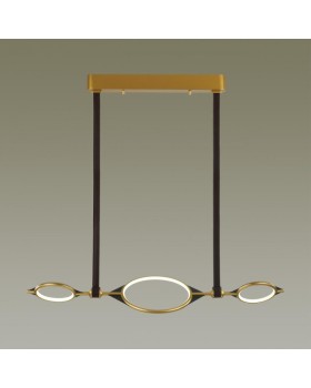 Подвесная люстра Odeon Light 4995/40L-foto2
