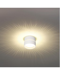 Накладной светильник Odeon Light 6609/1C-foto3