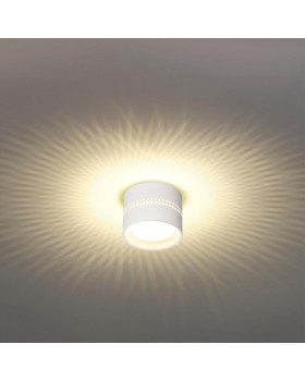 Накладной светильник Odeon Light 6609/1C-foto3