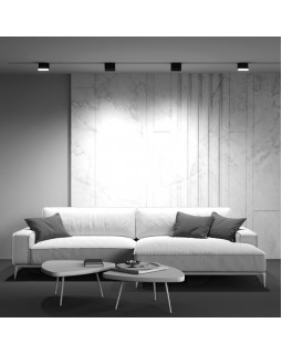 Светильник на шине Maytoni Technical TR075-2-10W4K-B-foto4