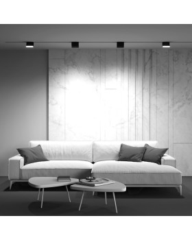 Светильник на шине Maytoni Technical TR075-2-10W4K-B-foto4