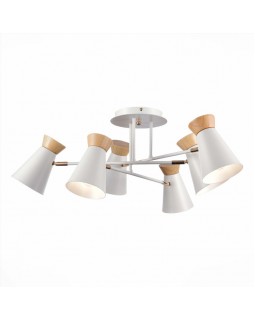 Люстра на штанге Evoluce SLE1252-502-06-foto3