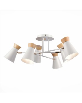 Люстра на штанге Evoluce SLE1252-502-06-foto3