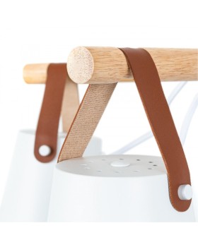 Люстра на штанге ARTE Lamp A7032PL-5WH-foto3