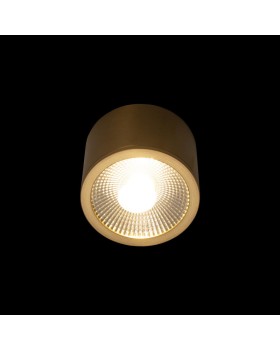 Накладной светильник LOFT IT 10187/B-foto2