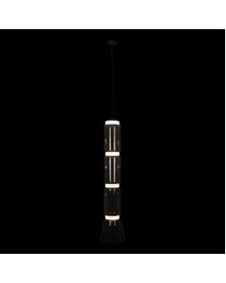 Подвесная люстра LOFT IT 10193/L-foto2