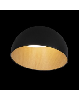 Накладной светильник LOFT IT 10197/350 Black-foto2