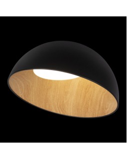 Накладной светильник LOFT IT 10197/500 Black-foto2