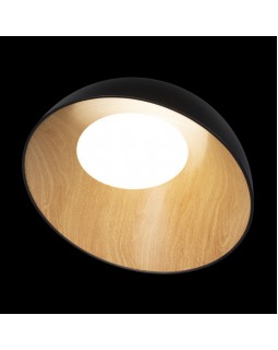 Накладной светильник LOFT IT 10197/500 Black-foto4