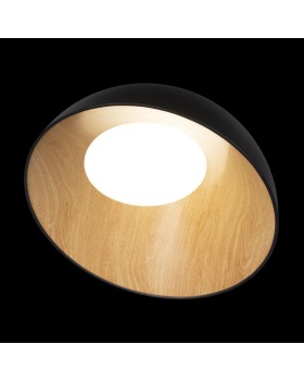 Накладной светильник LOFT IT 10197/500 Black-foto4