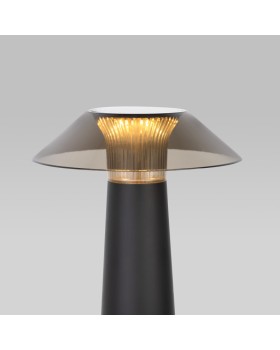 Настольная лампа Elektrostandard Future чёрный (TL70200)-foto3