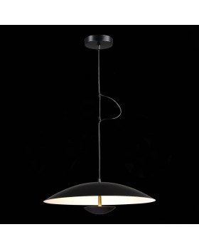 Подвесной светильник ST-Luce SL6502.403.01-foto4