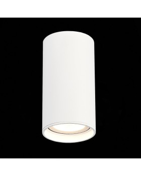 Влагозащищенный светильник ST-Luce ST157.532.15-foto3