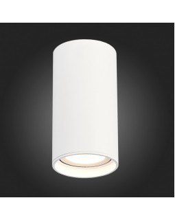 Влагозащищенный светильник ST-Luce ST157.532.15-foto4