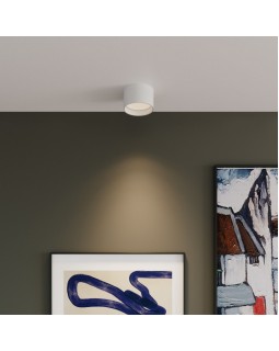 Накладной светильник Elektrostandard Banti 13W белый (25123/LED)-foto4