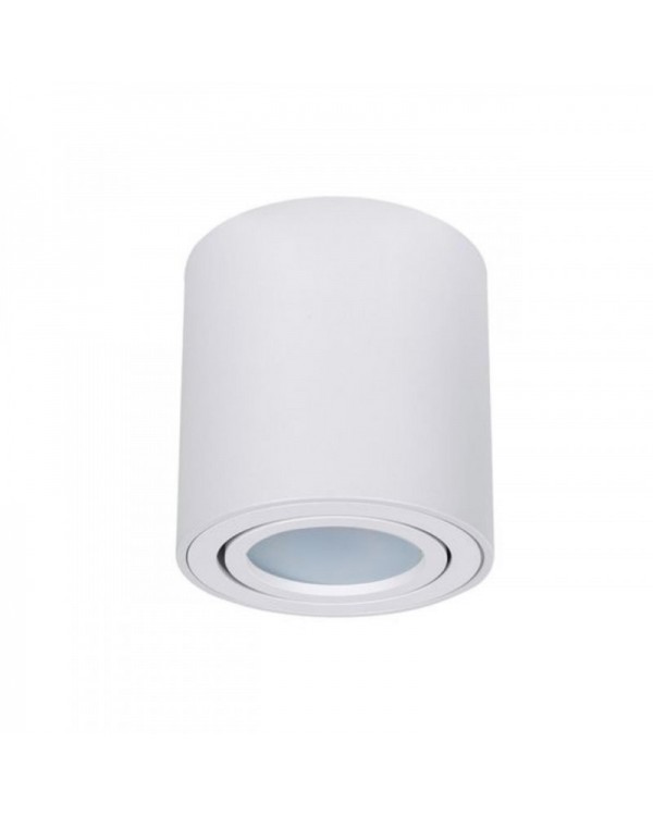 Накладной светильник ARTE Lamp A1513PL-1WH