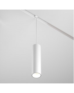 Светильник на шине Maytoni Technical TR041-2-12W4K-W-foto2