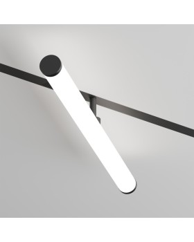 Светильник на шине Denkirs DK8065-BK-foto2