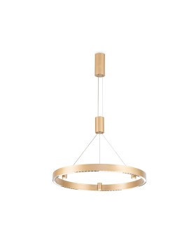 Подвесной светильник Ambrella Light FL5846-foto3