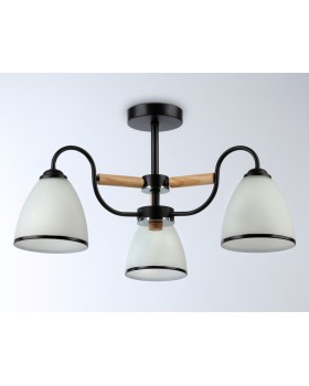 Накладной светильник Ambrella Light TR3033241-foto3