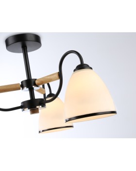 Накладной светильник Ambrella Light TR3033241-foto4