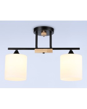 Накладной светильник Ambrella Light TR9543-foto2