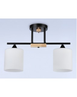 Накладной светильник Ambrella Light TR9543-foto3