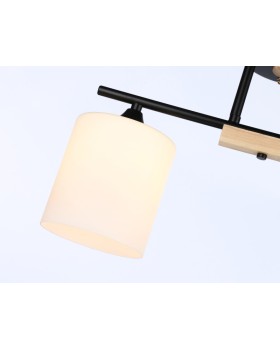 Накладной светильник Ambrella Light TR9543-foto4