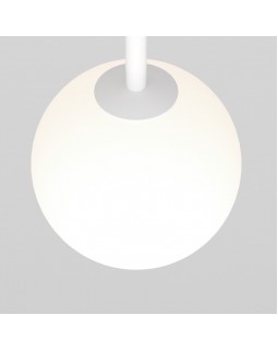 Светильник на шине Maytoni Technical TR038-2-5W4K-W-foto2