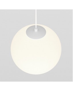 Светильник на шине Maytoni Technical TR039-2-5W4K-W-foto2