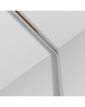 Коннектор Maytoni Technical TRA034ICL-42.12W-foto4