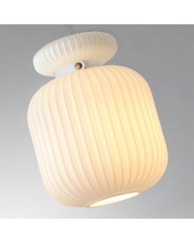 Подвесной светильник Odeon Light 5042/1C-foto2