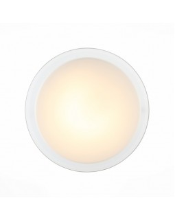 Накладной светильник ST-Luce SL466.512.01-foto3