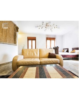 Накладная люстра MW-Light 242015306-foto2