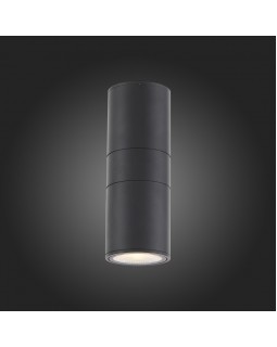 Светильник настенный ST-Luce SL074.401.02-foto3