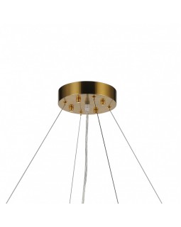 Подвесная люстра Favourite 2206-16P-foto3