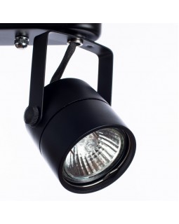 Спот ARTE Lamp A1310PL-2BK-foto4