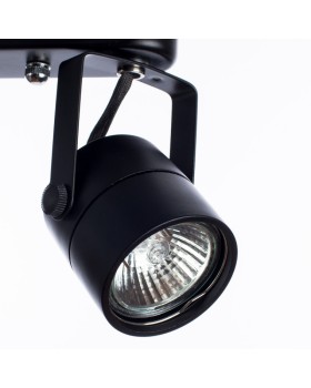 Спот ARTE Lamp A1310PL-2BK-foto4