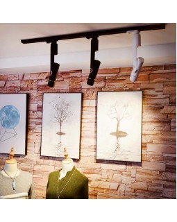 Накладной светильник ARTE Lamp A2511PL-1BK-foto5