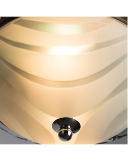 Накладной светильник ARTE Lamp A3008PL-2CC-foto3