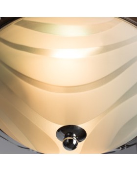 Накладной светильник ARTE Lamp A3008PL-2CC-foto3