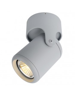 Накладной светильник ARTE Lamp A3316PL-1GY-foto2
